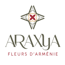 Araxya Flowers