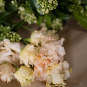 lisianthus alissa 2 champagne gen 2