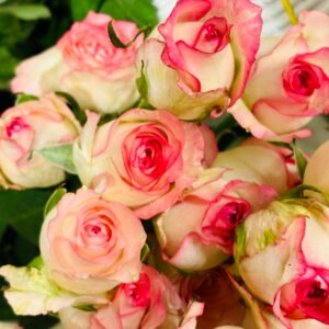 roses spray gelato