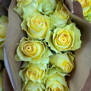 roses yellow peny